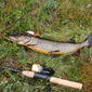 File:Pike fishing in Finland.JPG