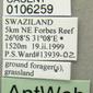 Anoplolepis custodiens (casent0106259) label