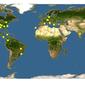 Discover Life: Point Map of Aphis gossypii