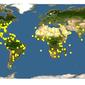 Discover Life: Point Map of Dactyloctenium aegyptium