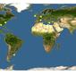 Discover Life: Point Map of Ficopomatus enigmaticus