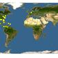 Discover Life: Point Map of Mytilopsis leucophaeata