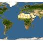 Discover Life: Point Map of Pennisetum verticillatum