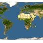 Discover Life: Point Map of Phyllocnistis citrella