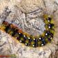 Lagarta de Borboleta Noturna // Lappet Moth caterpillar (Psilogaster loti)